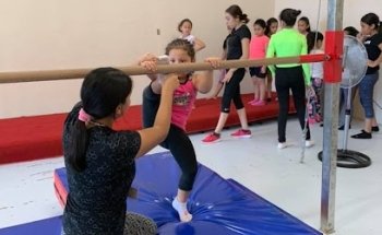 Academia de Gimnasia Dynamik
