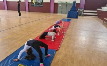 Dagda Gymnastics Academia de Gimnasia Artística