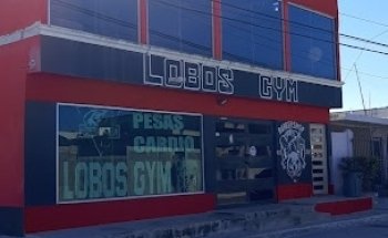 LOBOS GYM TEAM