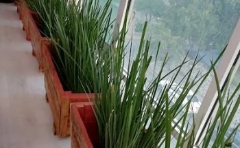 SHAPE POLE FITNESS STUDIO