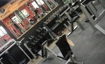 Steel Winner Fitness