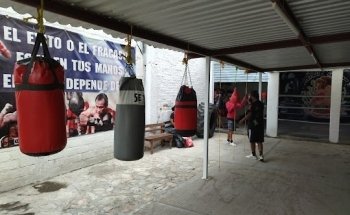 Gym boxeo de alto rendimiento estilo cesar
