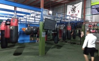 Escuela de box Uribe Boxing Team