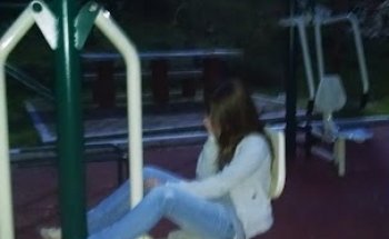 Gimnasios Urbanos 266