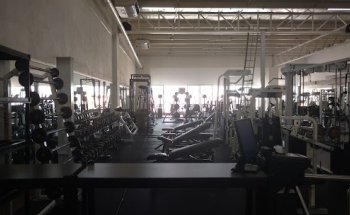 Sport Master GYM