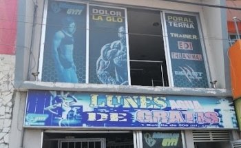 Músculos Gym