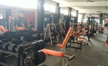 Hormiga's Gym