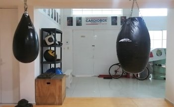 CARDIOBOX MR. Boxing Club