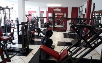 Five Force GYM