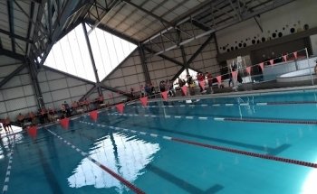 Alberca Las Americas