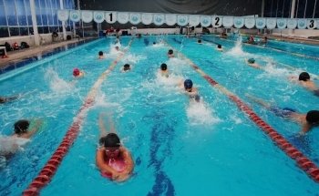 Escuela de Natación Delfines Del Bosque