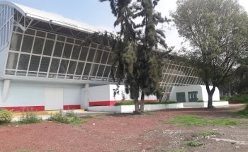 Alberca Semiolímpica 