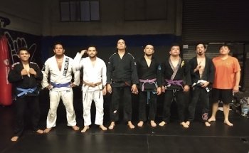 Master GYM & BJJ Chihuahua