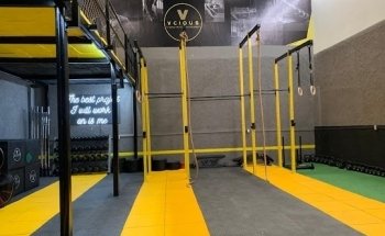 Vcious Hybrid Trainning Concept