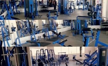 Mass Forza Gym
