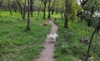 Parque Ecológico Las Aguilas