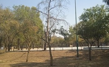 Deportivo Renovacion Nacional