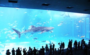 Metacrilatos y Acrílicos Para Albercas