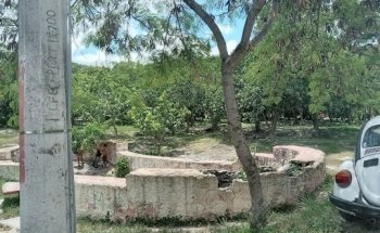 Cenote Urbano Cauich 225