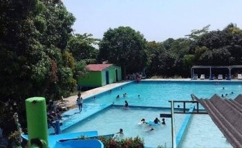 alberca las gardenias