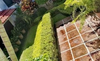 Jardín Y Albercas Nic