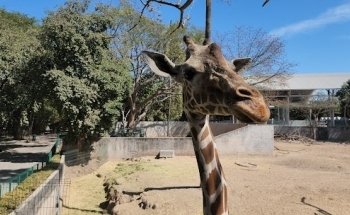 Parque Constitución