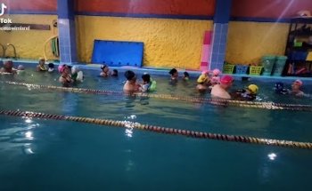 SWIM LAND Escuela de Natacion