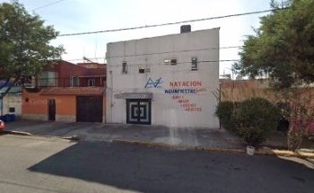 Natación, Clases de natación