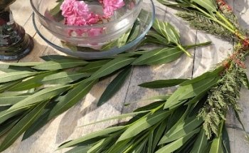 Temazcal Libélula Azul