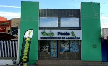 Gecko pools VIP Construcción de albercas