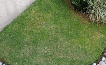 Servicio de Jardinería.net.