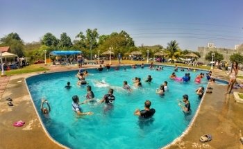 Albercas Los Delfines