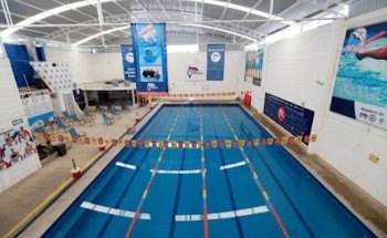 El Delfín Escuela de Natación - Poniente