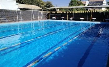 El Delfín Escuela de Natación - Centro De Entrenamiento