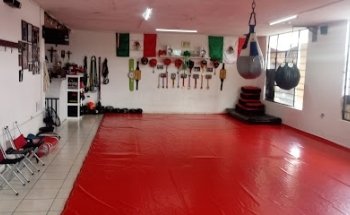 Fight Factory Bull's