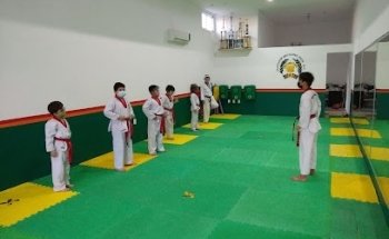 TAEKWONDO MDK La Joya