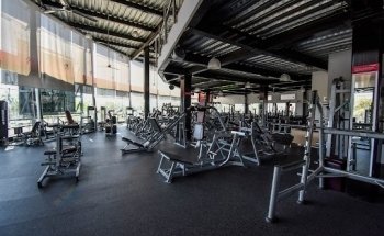 Elite Gym Wellness Center