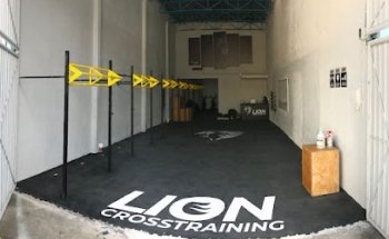 Lion Crosstraining