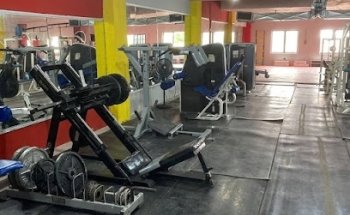 Monster's GYM