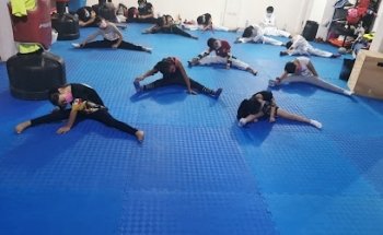 Enrique's Taekwondo Serna