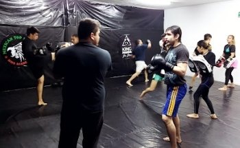 Mexican top fighters