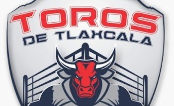 Toros de Tlaxcala