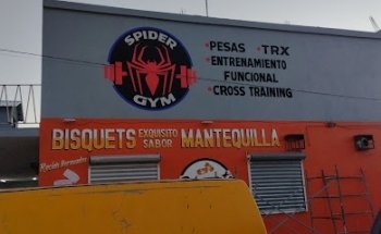 Spider Gym
