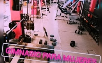 PARADISE GYM (GIMNASIO P MUJERES)