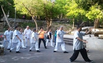 Wushu Kung Fu Perez Gongora