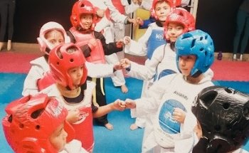 TAEKWONDO LEONES L. M.