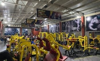 Capitán Gym