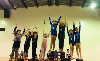 Academia de gimnasia artistica EFFORT