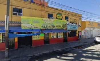 Zabordance academia fitness