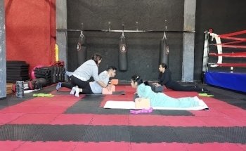 The Brawl Fight and Fit Club